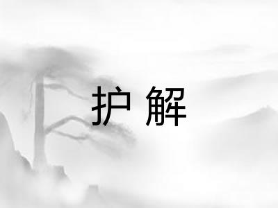 护解