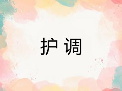 护调 护调