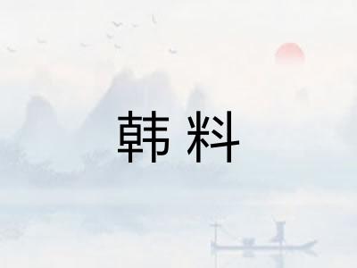 韩料 韩料