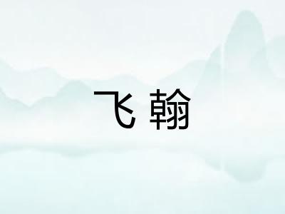 飞翰