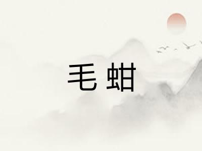毛蚶 毛蚶