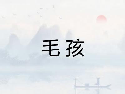 毛孩