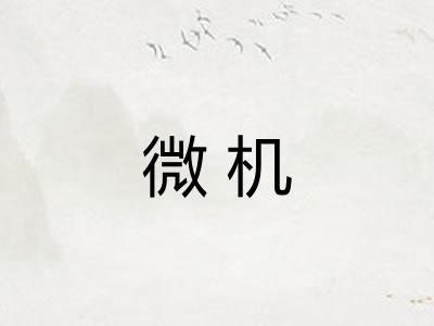 微机 微机