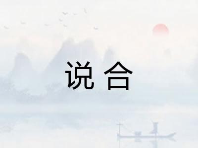 说合 说合