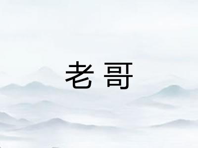 老哥 老哥