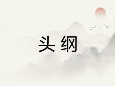 头纲