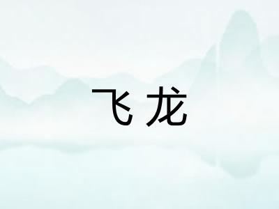 飞龙