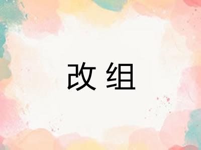 改组 改组