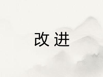 改进 改进