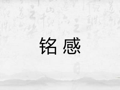 铭感 铭感