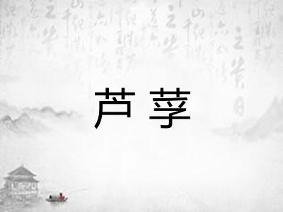 芦莩 芦莩