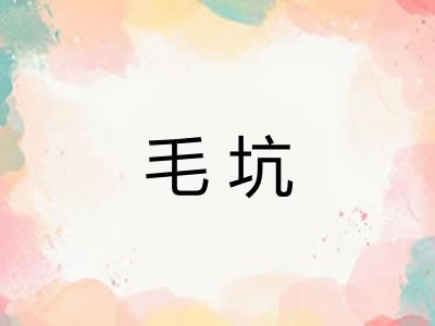 毛坑 毛坑