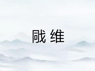 戙维