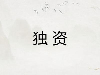 独资 独资