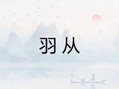 羽从
