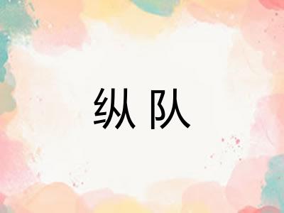纵队 纵队