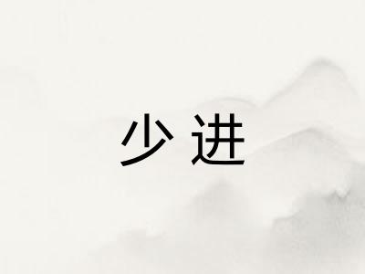 少进 少进
