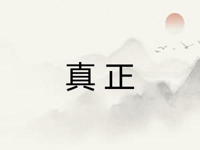 真正 真正