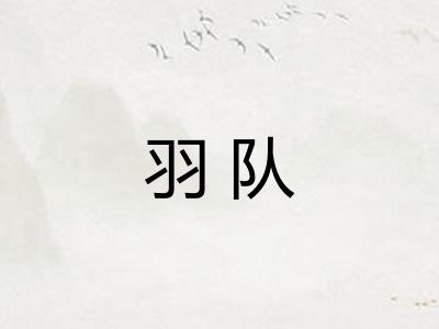 羽队 羽队