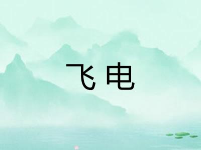 飞电