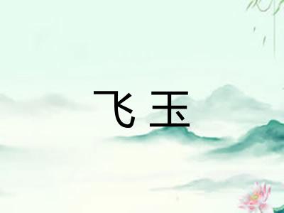 飞玉 飞玉