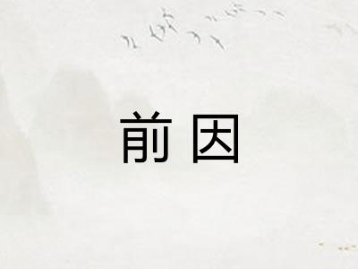 前因
