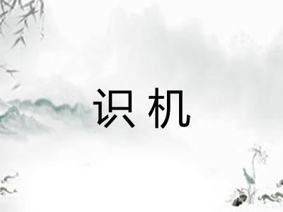 识机 识机