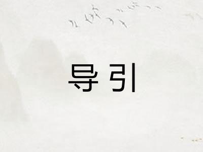 导引 导引