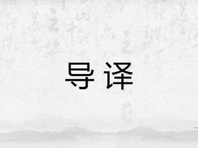 导译