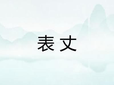 表丈