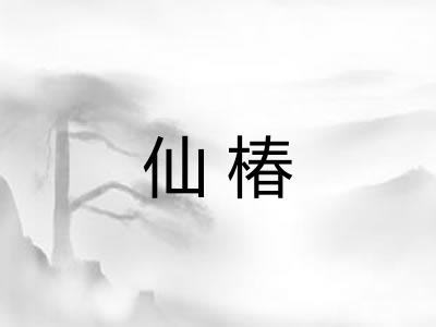 仙椿 仙椿