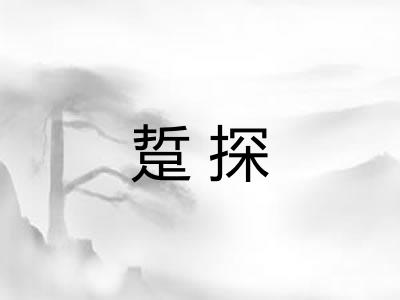 踅探 踅探