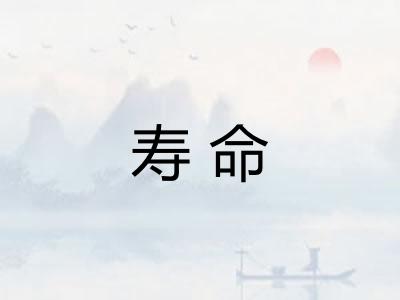 寿命
