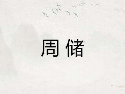 周储 周储