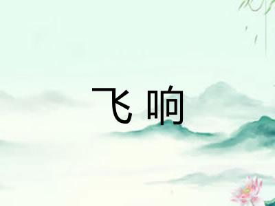 飞响 飞响