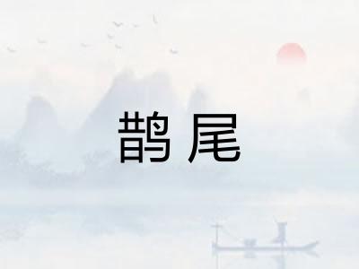 鹊尾