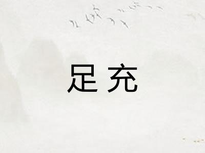 足充 足充