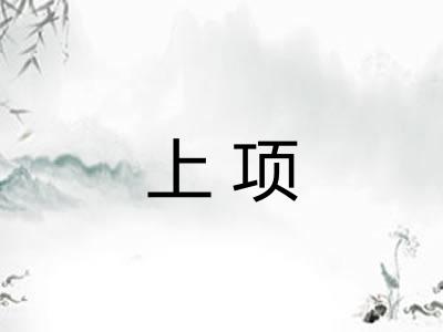 上项 上项