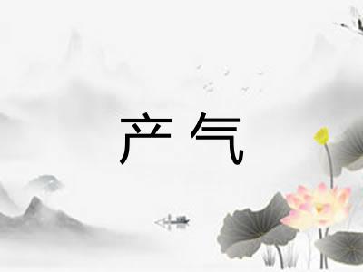 产气 产气