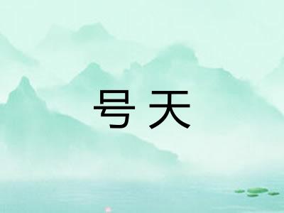 号天