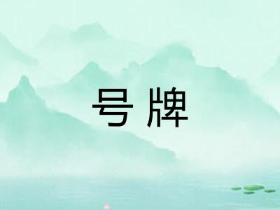 号牌 号牌