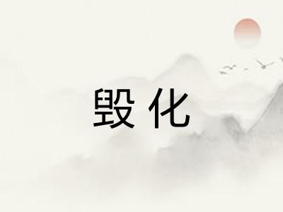 毁化 毁化