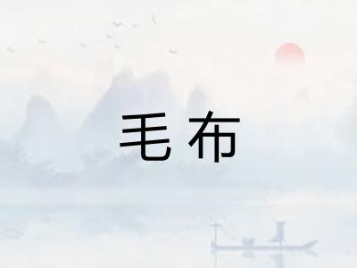 毛布 毛布