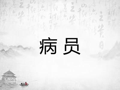 病员 病员
