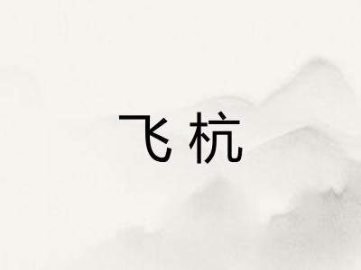 飞杭 飞杭