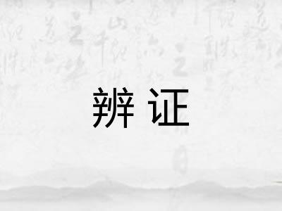 辨证 辨证