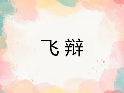 飞辩