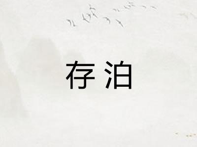 存泊 存泊