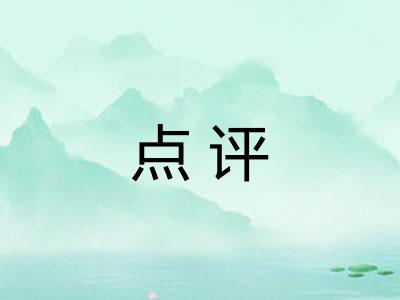 点评 点评
