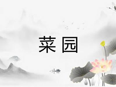 菜园 菜园